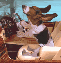 funny15.gif